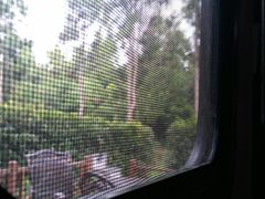 -崇明东平国家森林公园烧烤房车露营地