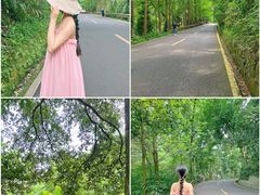 -峨眉山报国寺