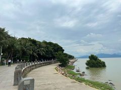 -深圳湾公园(南山区)