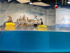-梦幻海洋王国(吾悦广场张家港店)