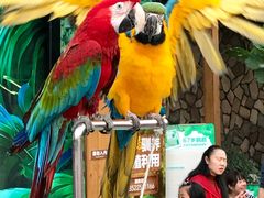 -南宫温泉水世界