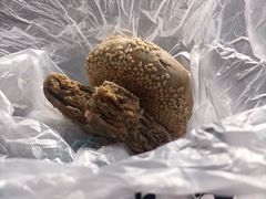 -紫光园清真北京小吃(广渠门内店)