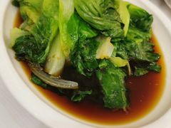 -饭怕鱼·黄焖鲟龙鱼(湖大店)