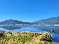 -腾冲北海湿地