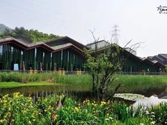 -西湖风景区-江洋畈生态公园