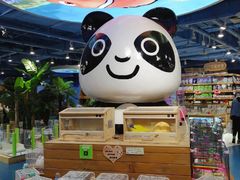 -龟与熊猫宠物公园(南坪店)