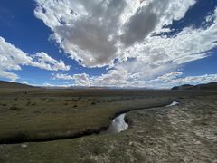 -兰亭安泊牛肉面(乐都路店)