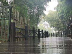 -树山生态村
