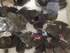 -大润发(浒关店)