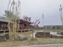 -洛阳古墓博物馆