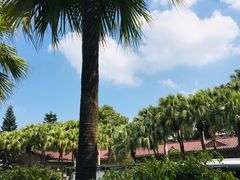 -广东外语外贸大学(白云山校区)