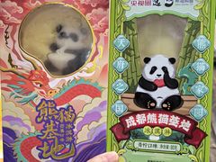 -成都大熊猫繁育研究基地