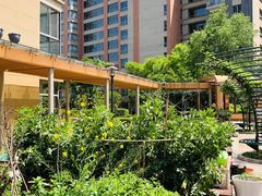 -梧桐人家中国太平国际健康颐养社区