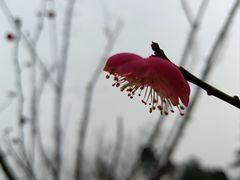 -渭滨公园