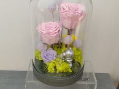 -ROSEONLY诺誓(广州K11店)