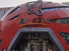 -鹏欣水游城