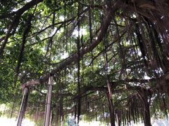 -北部湾广场