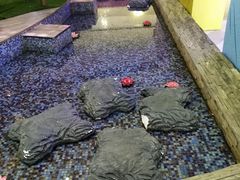 -鹏欣水游城