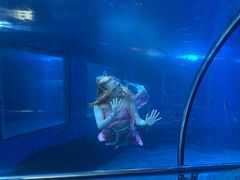 -太平洋海底世界