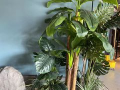 -渝乡辣婆婆·川菜 水煮鱼(安平店)
