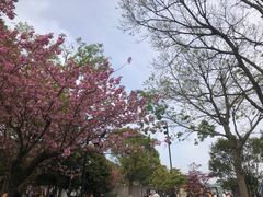 -东钱湖旅游度假区