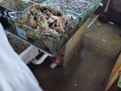 -南戴河海滨市场