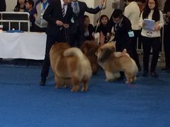 iphone_upload_pic-东浩兰生上海世博展览馆