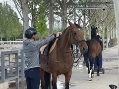 -北京群众马术培训基地