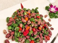 -陈麻婆豆腐总店