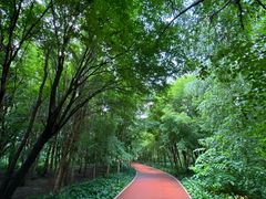 -长春市南湖公园