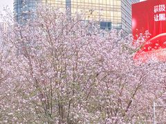 -天河体育中心