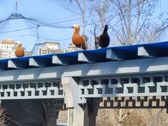 -森林公园(尖草坪区)