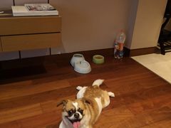 -上海崇明金茂凯悦酒店