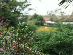 -成桂西餐厅·42年的味道(五大道疙瘩楼店)