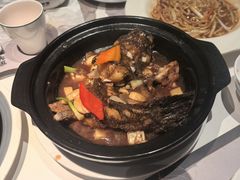 -新兴·金羊座·粤菜点心(乐峰店)