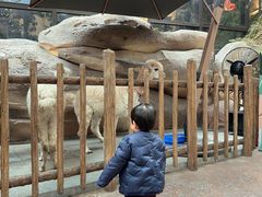 -杭州开元森泊度假乐园