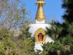-护国法轮寺