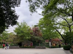-莲湖公园