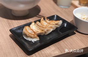 Pan-Fried Dumplings