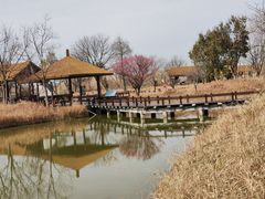-宁波杭州湾国家湿地公园