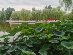 -丰台花园