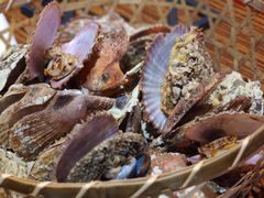 高压锅扇贝-蚝堡海鲜·威海菜·海肠捞饭·烧烤·亚洲吃蚝公司(幸福门店)