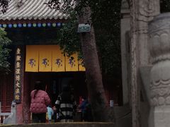 -天龙宝严素食馆(大兴善寺店)