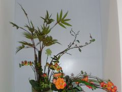 -荷兰布尔玛国际花艺学院