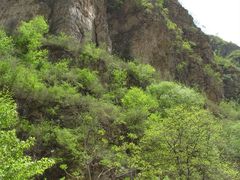 -孤山寨风景区