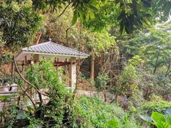 -火炉山森林公园