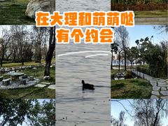 -洱海月湿地公园