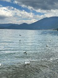 -小红帽摄影(丽江店)