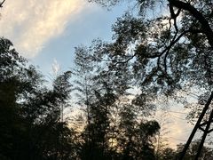 -杭州植物园