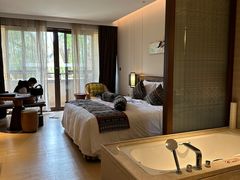 -西双版纳融创皇冠假日度假酒店